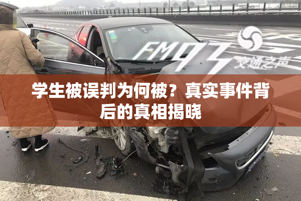 学生被误判为何被？真实事件背后的真相揭晓