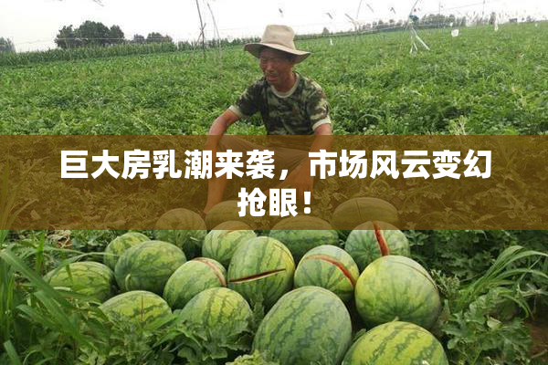 巨大房乳潮来袭，市场风云变幻抢眼！