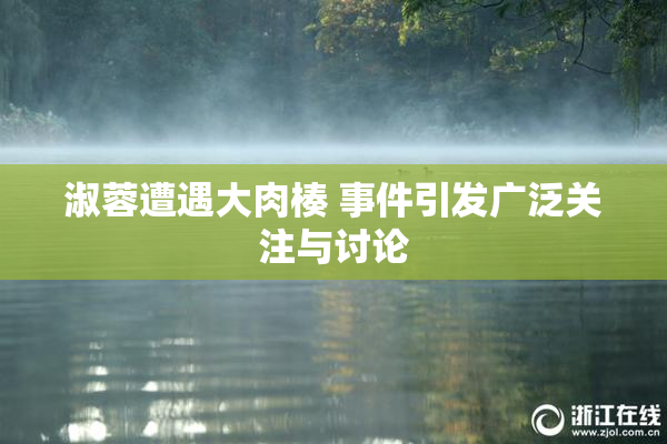 淑蓉遭遇大肉楱 事件引发广泛关注与讨论