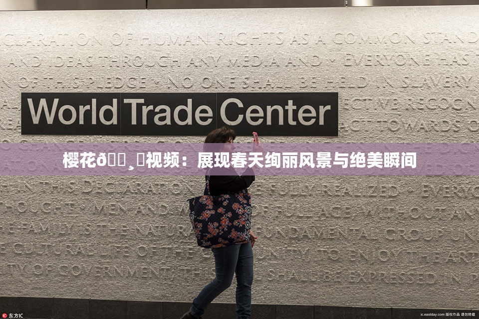 樱花🌸‌视频：展现春天绚丽风景与绝美瞬间