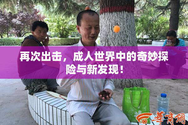 再次出击，成人世界中的奇妙探险与新发现！