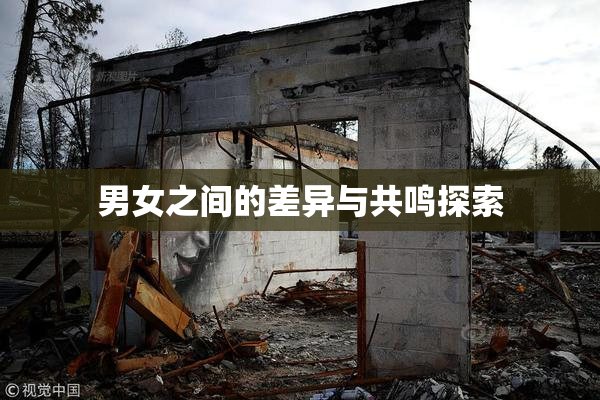 男女之间的差异与共鸣探索