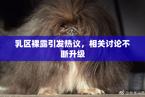 乳区裸露引发热议，相关讨论不断升级