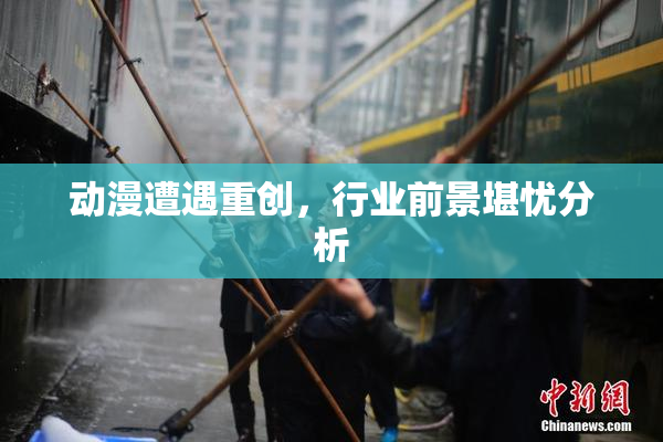 动漫遭遇重创，行业前景堪忧分析