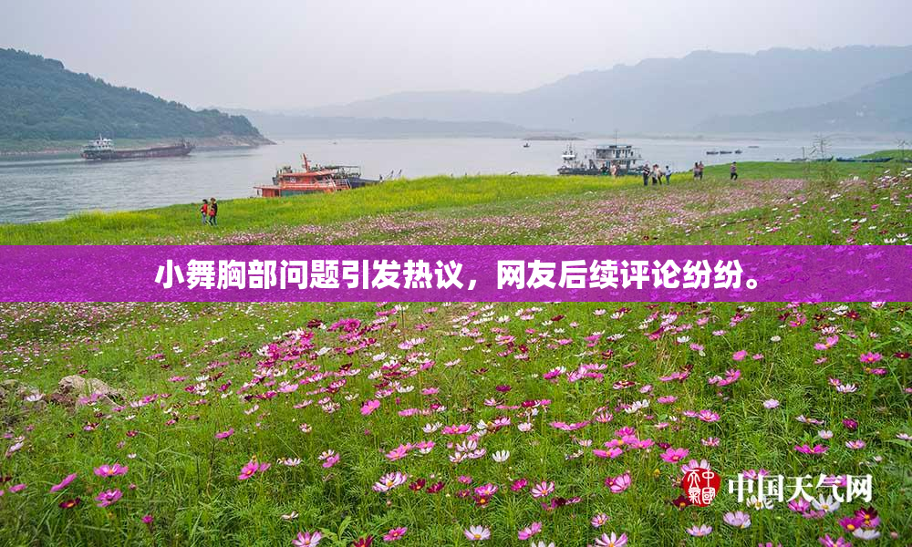 小舞胸部问题引发热议，网友后续评论纷纷。