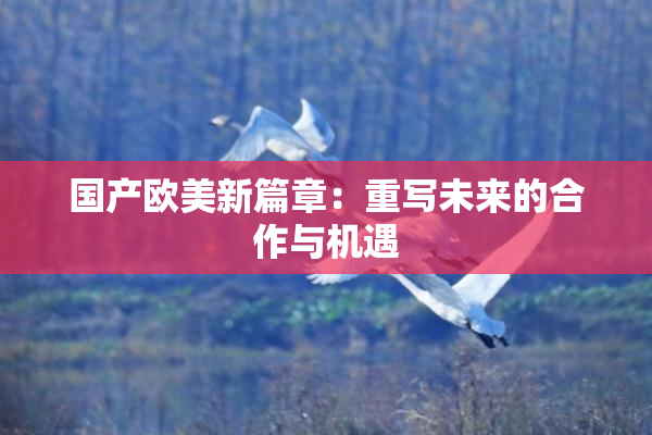 国产欧美新篇章：重写未来的合作与机遇