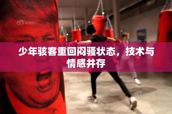少年骇客重回闷骚状态，技术与情感并存