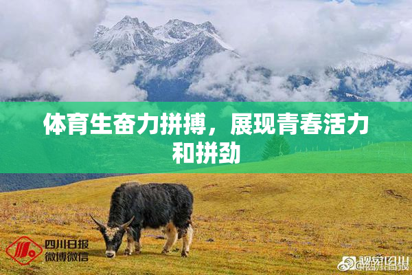 体育生奋力拼搏，展现青春活力和拼劲