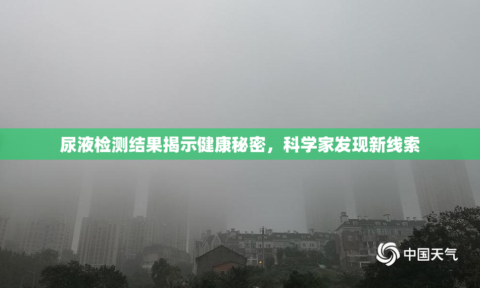 尿液检测结果揭示健康秘密，科学家发现新线索