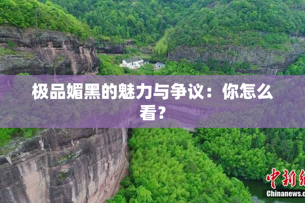 极品媚黑的魅力与争议：你怎么看？