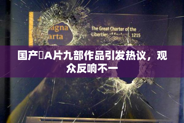 国产婬A片九部作品引发热议，观众反响不一