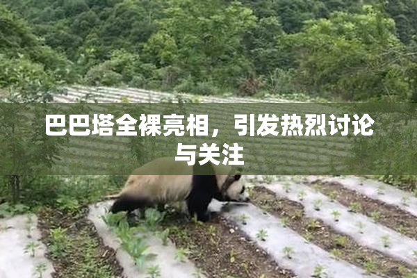 巴巴塔全裸亮相，引发热烈讨论与关注