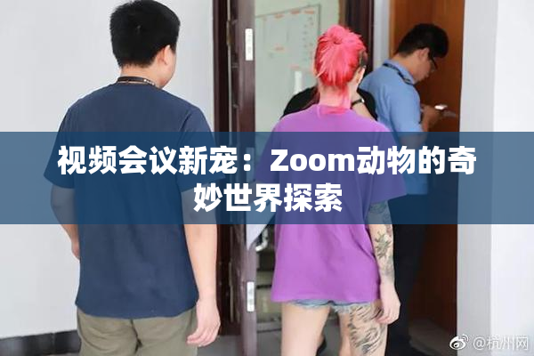 视频会议新宠：Zoom动物的奇妙世界探索