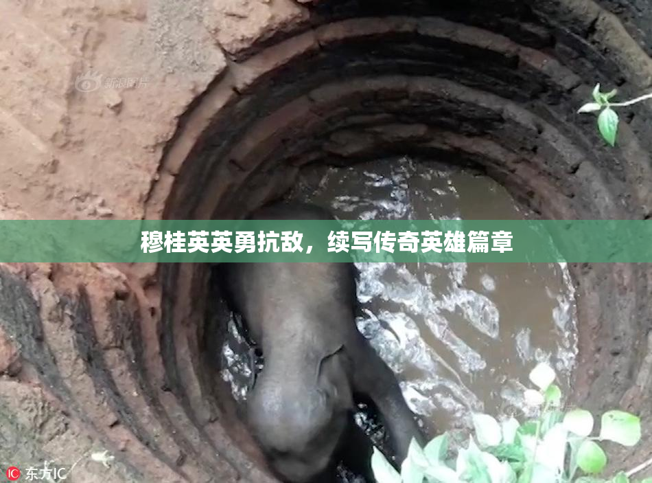 穆桂英英勇抗敌，续写传奇英雄篇章