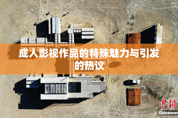 成人影视作品的特殊魅力与引发的热议