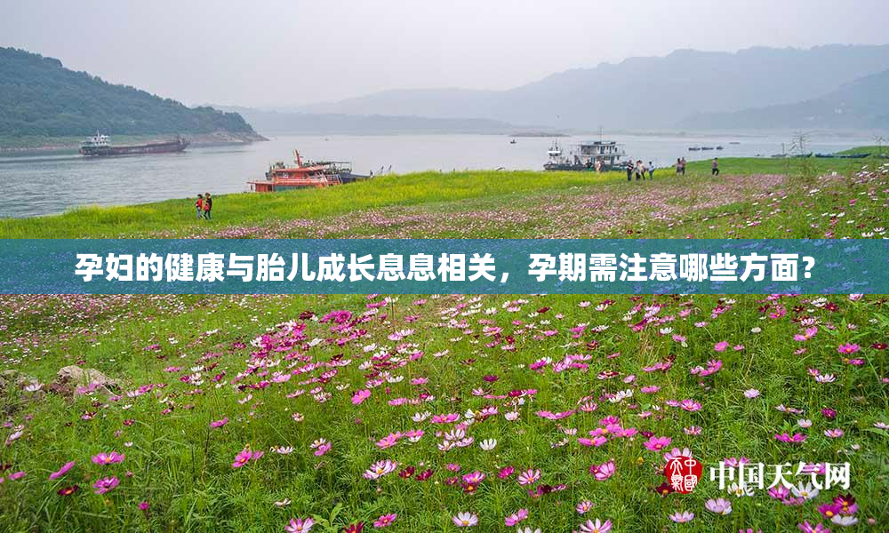 孕妇的健康与胎儿成长息息相关，孕期需注意哪些方面？
