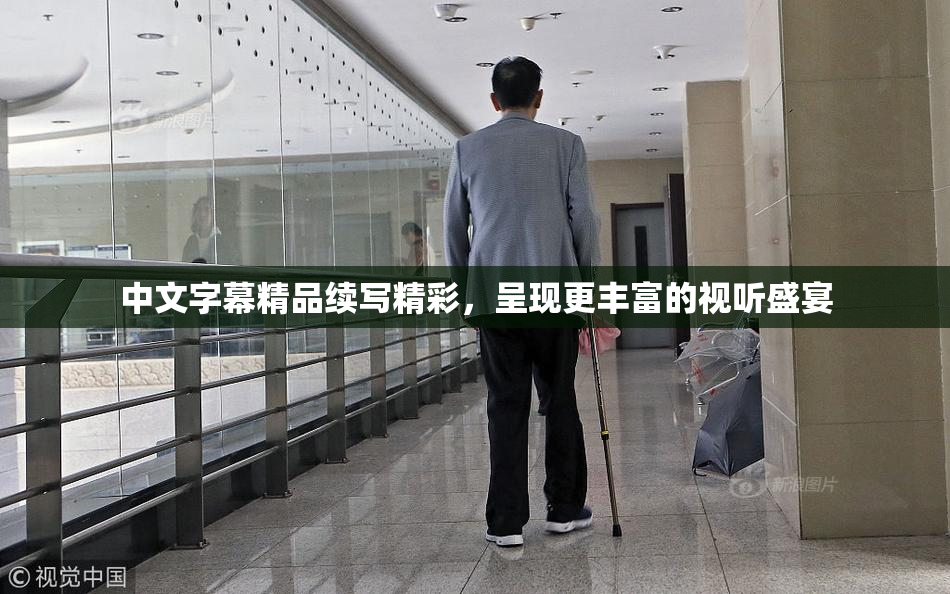 中文字幕精品续写精彩，呈现更丰富的视听盛宴