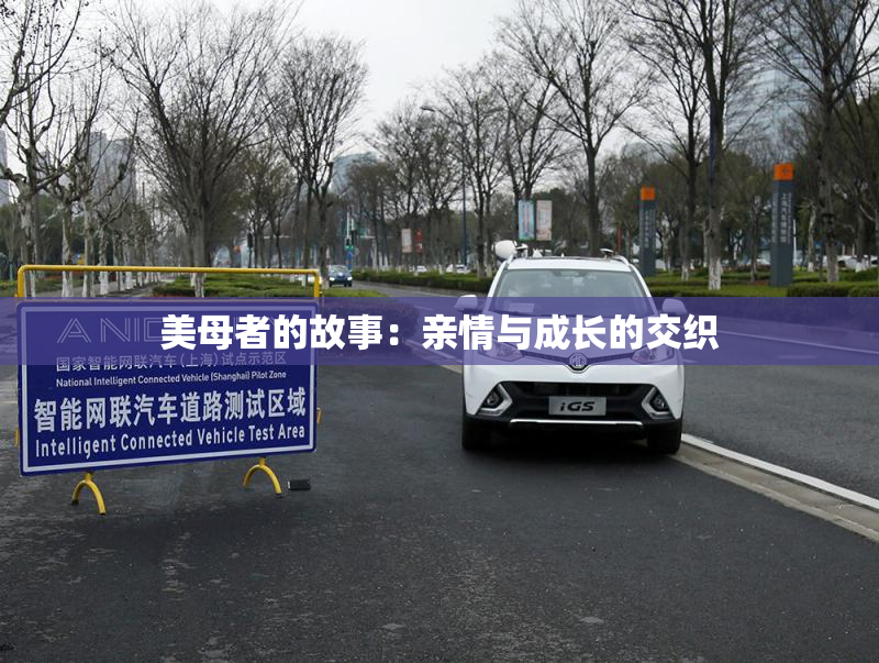 美母者的故事：亲情与成长的交织