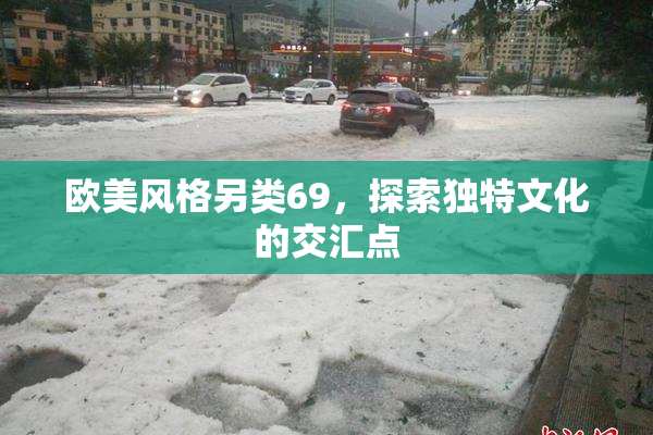 欧美风格另类69，探索独特文化的交汇点
