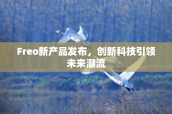 Freo新产品发布，创新科技引领未来潮流