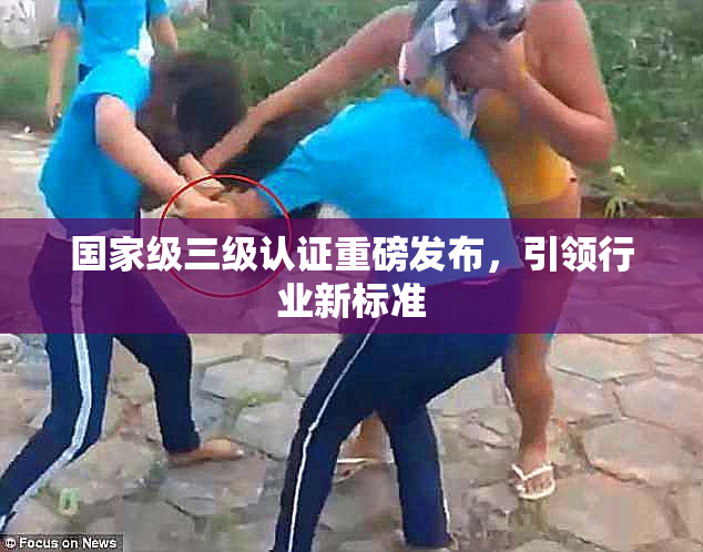 国家级三级认证重磅发布，引领行业新标准