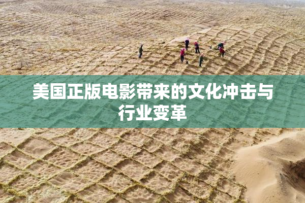 美国正版电影带来的文化冲击与行业变革