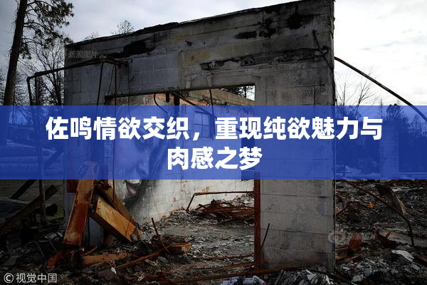 佐鸣情欲交织，重现纯欲魅力与肉感之梦