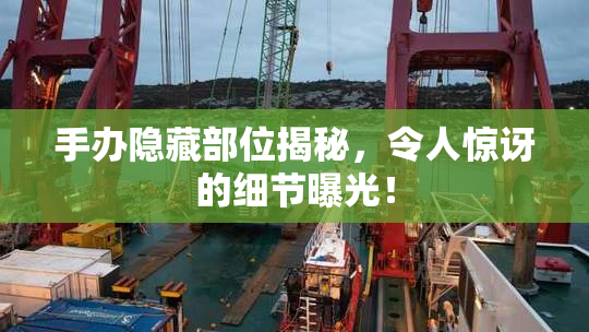 手办隐藏部位揭秘，令人惊讶的细节曝光！