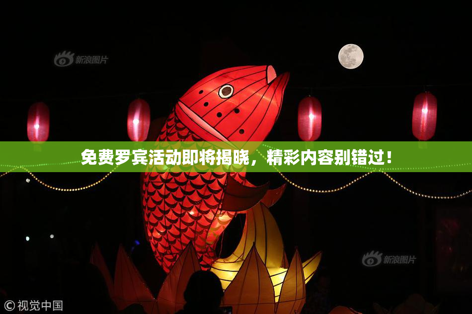 免费罗宾活动即将揭晓，精彩内容别错过！