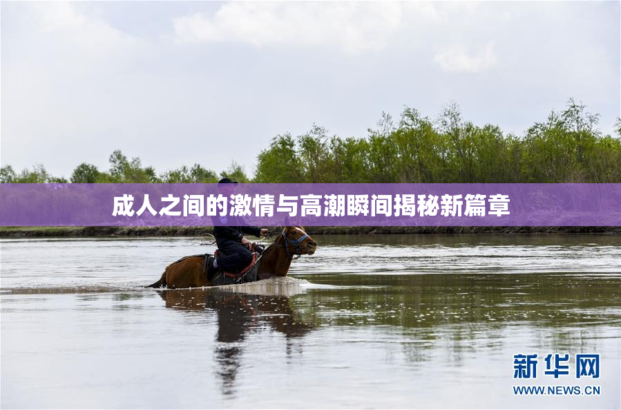 成人之间的激情与高潮瞬间揭秘新篇章