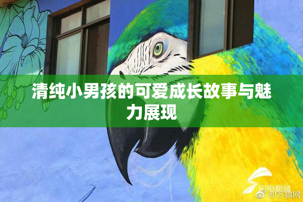 清纯小男孩的可爱成长故事与魅力展现