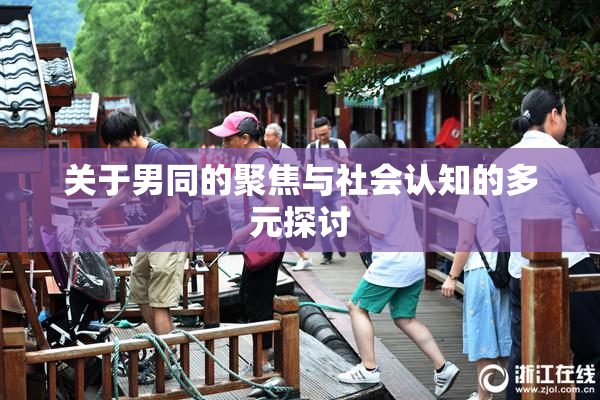 关于男同的聚焦与社会认知的多元探讨