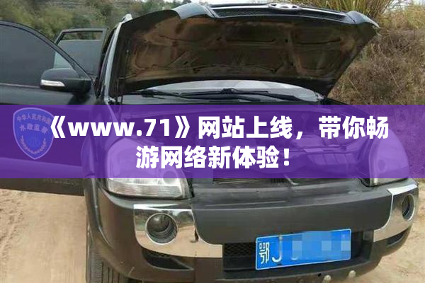 《www.71》网站上线，带你畅游网络新体验！