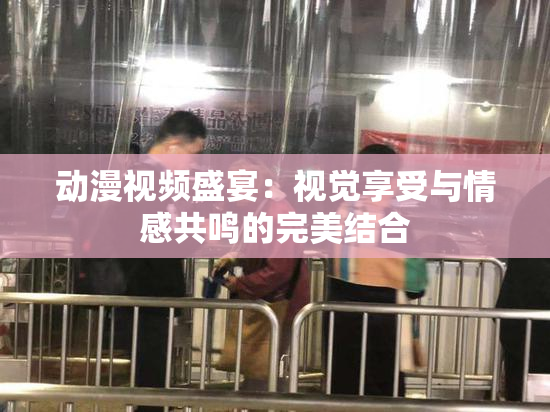 动漫视频盛宴：视觉享受与情感共鸣的完美结合