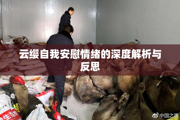 云缨自我安慰情绪的深度解析与反思