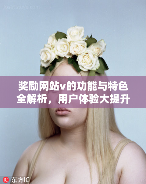 奖励网站v的功能与特色全解析，用户体验大提升