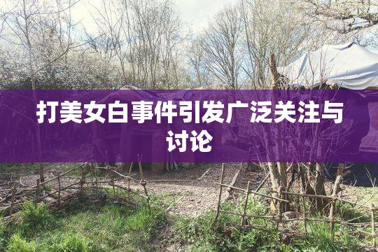 打美女白事件引发广泛关注与讨论