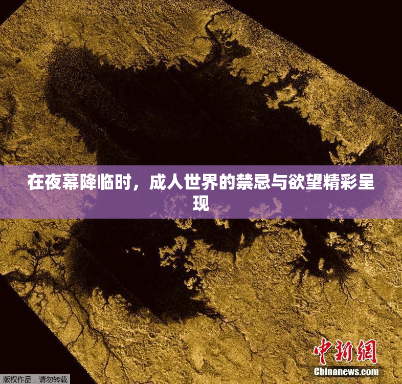 在夜幕降临时，成人世界的禁忌与欲望精彩呈现