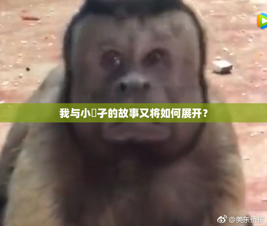 我与小娻孑的故事又将如何展开？