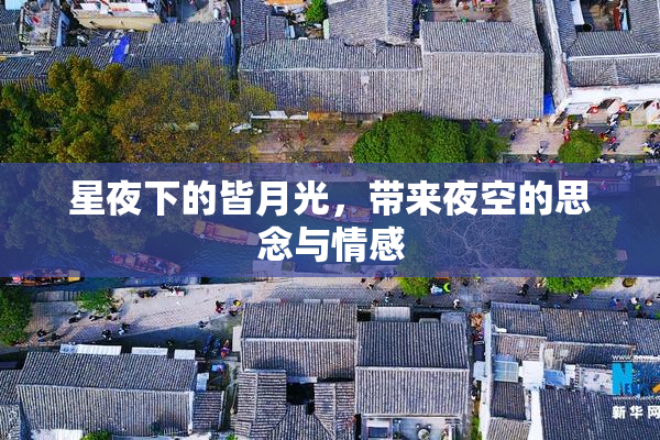 星夜下的皆月光，带来夜空的思念与情感