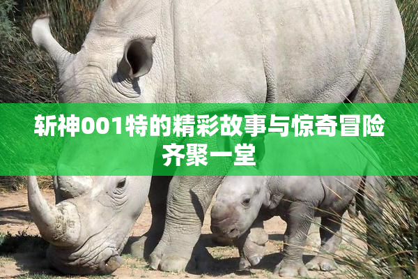 斩神001特的精彩故事与惊奇冒险齐聚一堂