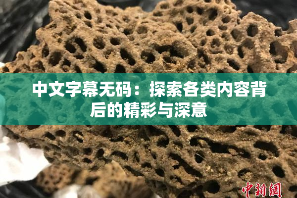 中文字幕无码：探索各类内容背后的精彩与深意