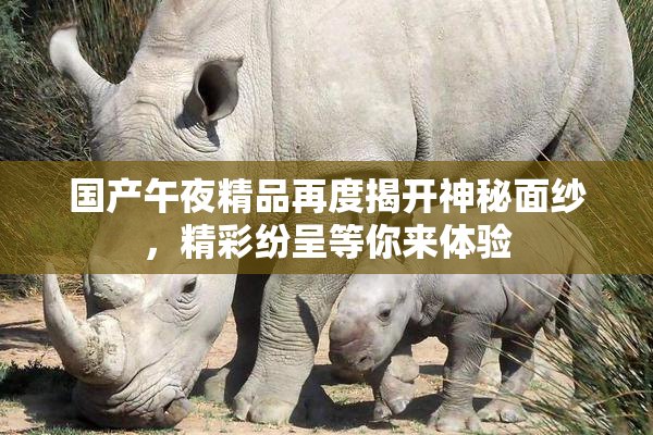 国产午夜精品再度揭开神秘面纱，精彩纷呈等你来体验
