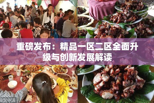 重磅发布：精品一区二区全面升级与创新发展解读