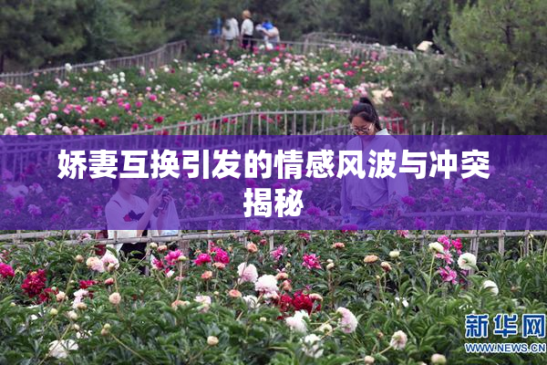 娇妻互换引发的情感风波与冲突揭秘