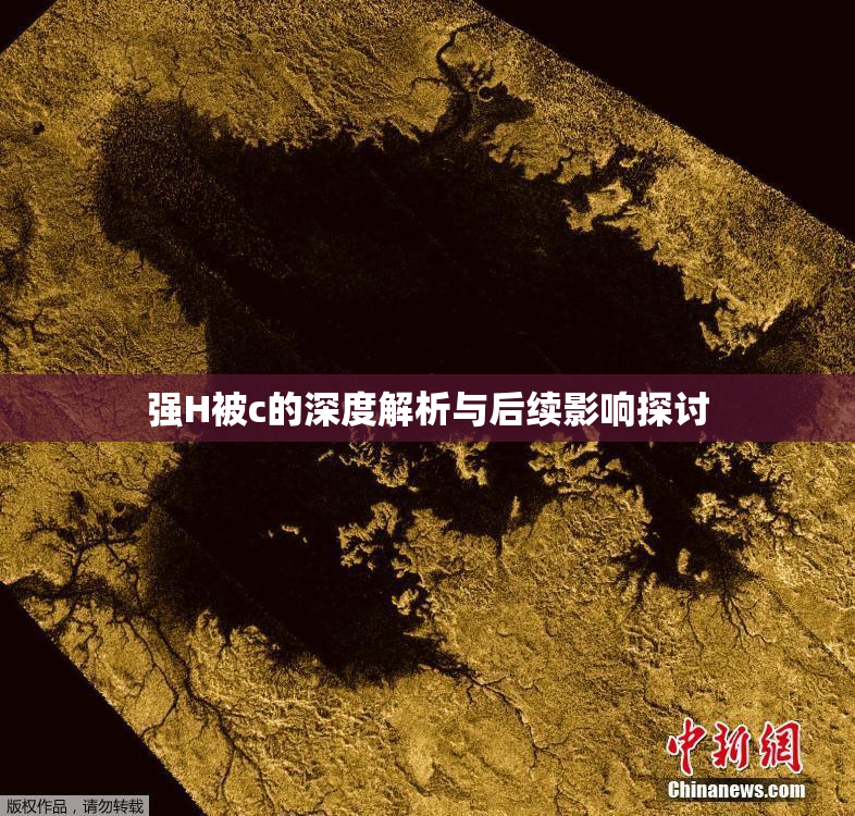 强H被c的深度解析与后续影响探讨