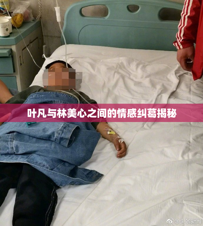 叶凡与林美心之间的情感纠葛揭秘