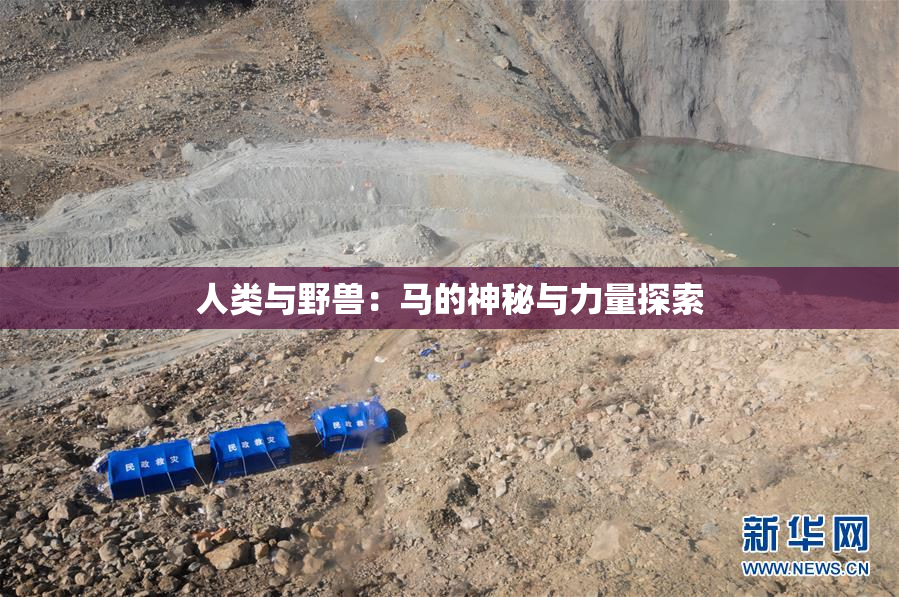 人类与野兽：马的神秘与力量探索