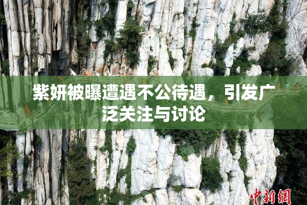 紫妍被曝遭遇不公待遇，引发广泛关注与讨论