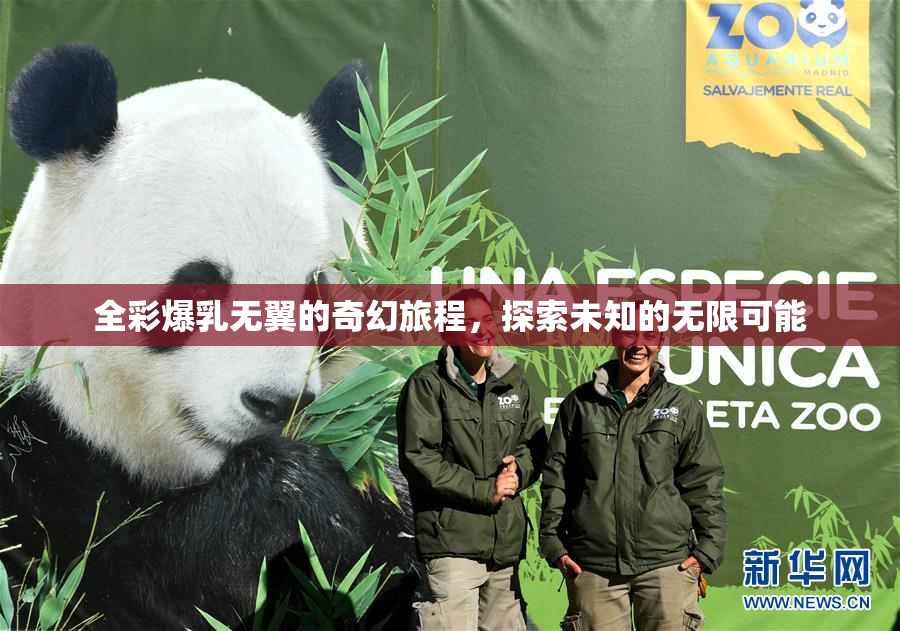 全彩爆乳无翼的奇幻旅程，探索未知的无限可能
